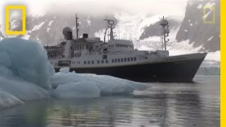 Killer Whales vs Minke Whale  National Geographic [upl. by Giana]