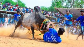 திருச்சி கோசக்குறிச்சி அழகர்சாமி அவர்களது காளை Vs அறந்தாங்கி PMK வசீகரா வீரர்கள் Kosakurichi [upl. by Evelunn]