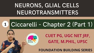 Ciccarelli Chapter 2  Part 1  Neurons Glial Cells Neurotransmitters  Mind Review [upl. by Otanutrof]