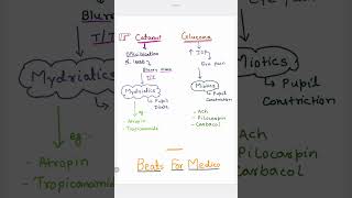 Catract Vs Glucoma  Blurred vision  Sever eye pain  Atropin injection  Mydriatics  Miotics [upl. by Nilyak879]