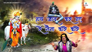 हाय जादू कर गए रे नैना कारे कारे  Vimal Dixit  Hay Jadu Kar Gaye Re Naina Kare Kare  Bhajan 2021 [upl. by Notlad]