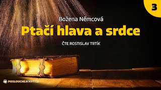 Božena Němcová Ptačí hlava a srdce 34 [upl. by Mastrianni]