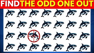 Find the ODD One Out  Extreme Edition 🐬🐚🦑  Easy Medium Hard Levels Quiz [upl. by Ennasirk]