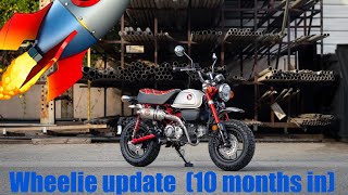 HONDA MONKEY 2023 WHEELIES  10 month update [upl. by Zitah465]