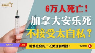 6万人死亡！加拿大安乐死人数破纪录！不接受被斥责quot太自私quot？ [upl. by Froehlich]