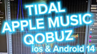 Best Lossless Streaming Tidal Qobuz and Apple Music [upl. by Drhacir]