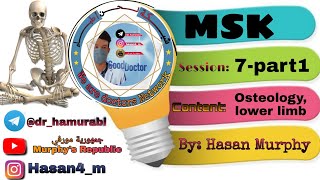 MSK Session 7 Osteology of the lower limb By Hasan Murphy [upl. by Mich]