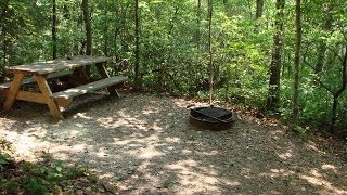 Ash Groves Stellar Tent Sites Aster thru Iris [upl. by Robbie]