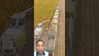 Mast tech hai farming agriculture harvest farm tarım masseyferguson aboneol subscribe [upl. by Idelson]