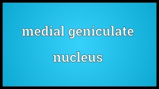 Medial geniculate nucleus Meaning [upl. by Kosak]