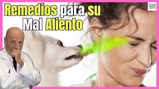 🔴 REMEDIOS CASEROS PARA QUITAR EL MAL ALIENTO EN PERROS 🔴 [upl. by Yelkrab]