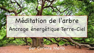 Méditation de larbre  Ancrage Terre  Ciel  Être Soi [upl. by Atiram]