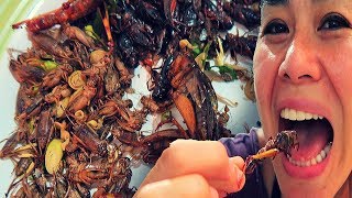 EATING BUGS IN THAILAND  6 MUST TRY BUGS IN THAILAND [upl. by Gregor457]