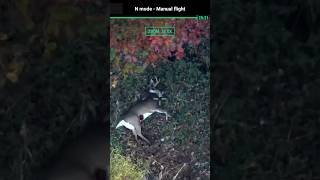 Thermal drone made quick work on follow up of gut hit buck ￼ [upl. by Ivanah]