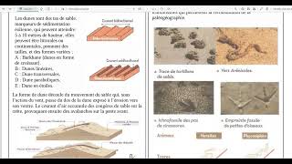 10Fentes de dessication et stratification croisée [upl. by Eikin]