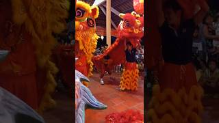 MIDAUTUMN LION DANCE liondance [upl. by Attikin703]