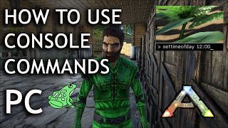 How to Use Console Commands on PC Single Player  Ark Survival Evolved  Cheats [upl. by Ad676]