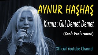 Aynur Haşhaş  Kırmızı Gül Demet Demet Canlı Performans [upl. by Thenna247]