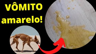 CACHORRO VOMITANDO AMARELO [upl. by Sajet]