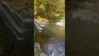 Dos Equis  Amber for this early autumn hike 🍺 pnw hiking adventuretravel waterfall beer [upl. by Mara]