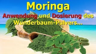 Moringa  Anwendung und Dosierung des WunderbaumPulvers [upl. by Derman461]