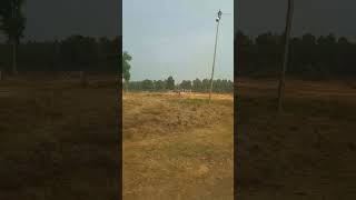 Safari park views safaripark shortvideo youtubeshorts travel shorts safari trending nature [upl. by Cohleen]