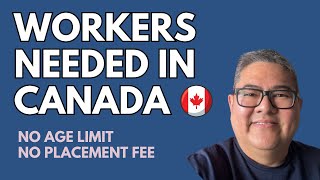 WORKERS NEEDED IN CANADA I NO AGE LIMIT I NO PLACEMENT FEE I BUHAY CANADA [upl. by Dane]