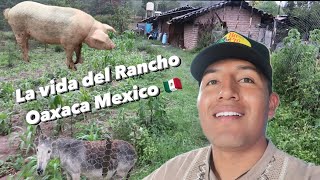 Rancho de los Mixtecos en Oaxaca Mexico 🇲🇽 [upl. by Blader]