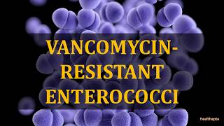 VANCOMYCIN RESISTANT ENTEROCOCCI [upl. by Michaelina]