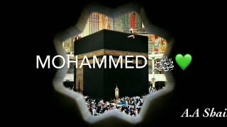 Allah Janta hai Mohammedﷺ ka Martaba HartTouching Qawwali Naat WhatsApstatusvideo Islamic Status [upl. by Zela788]