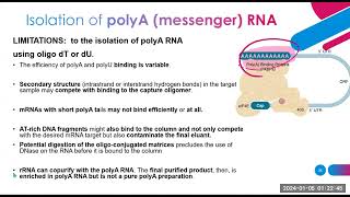 nucleic acid extraction methods part 2 [upl. by Pownall]