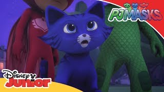 Pisoi devine un motan adevărat 🐱  Eroii în Pijama  Disney Junior România [upl. by Johppah]