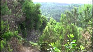 La Palma  Wandern auf quotLa Isla bonitaquot [upl. by Amby360]