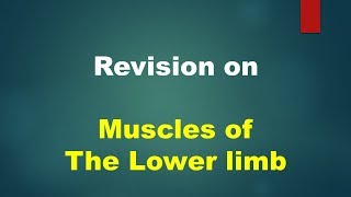 Summary of Lower limb muscles [upl. by Tallulah71]