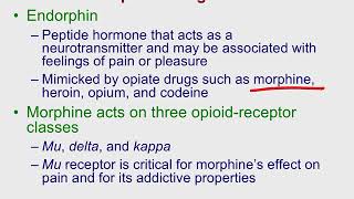 Human Neuropsych Psychopharmacology [upl. by Tallula]