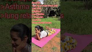 Part 2 Therapeutic Yoga for lower back pain slip disc sciatica spondylitis asthma knee pain [upl. by Cecelia852]