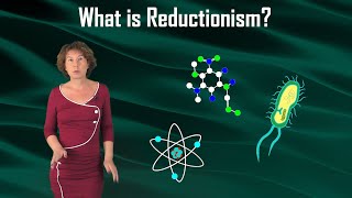 What is Reductionism [upl. by Llenart]