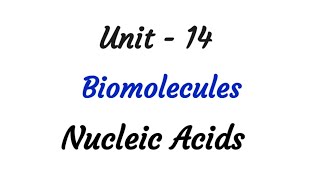 Nucleic Acids  Biomolecules  TN 12th chemistry  Unit 14  Biomolecules in tamil [upl. by Clayberg172]