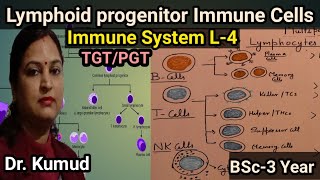 Lymphoid Progenitor Immune CellsBCellTCellNK Cells Immune SystemL4 BSc3MScTGTPGT [upl. by Carter]