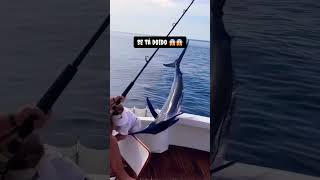 Essa foi por pouco reels reelsinstagram amazonas amazon pesca pescaria pescadores pescaespo [upl. by Yttap]