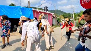 Cuadrilla Xantolera de Zoquitipan Yahualica Hidalgo [upl. by Tarryn183]