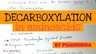 Decarboxylation of Aminoacids  Aminoacids metabolism [upl. by Kinsley723]