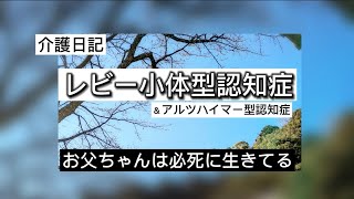 【介護日記】レビー小体型認知症の合併症はパーキンソン病でした [upl. by Eelegna]