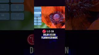 LG C4 New Dolby Vision Filmaker mode G4 and C4 LGC4 LGG4 DolbyvisionLG [upl. by Peadar]