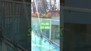 PELLING SKY WALK NICE VEW nature sikkim travel music shorts ytshorts [upl. by Christen813]