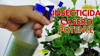 como hacer insecticida casero chuyito jardinero [upl. by Naie]