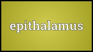 Epithalamus Meaning [upl. by Mcspadden]