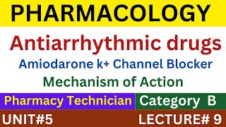 Amiodarone Mechanism of Action  Pharmacology  Pharmacy Technician [upl. by Craner]