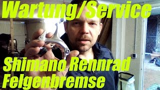 Wartung Service Rennrad Felgenbremse Shimano [upl. by Hanna990]