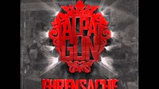 Alpa Gun  Hauptsache dir gehts gut LYRICS [upl. by Drusi]